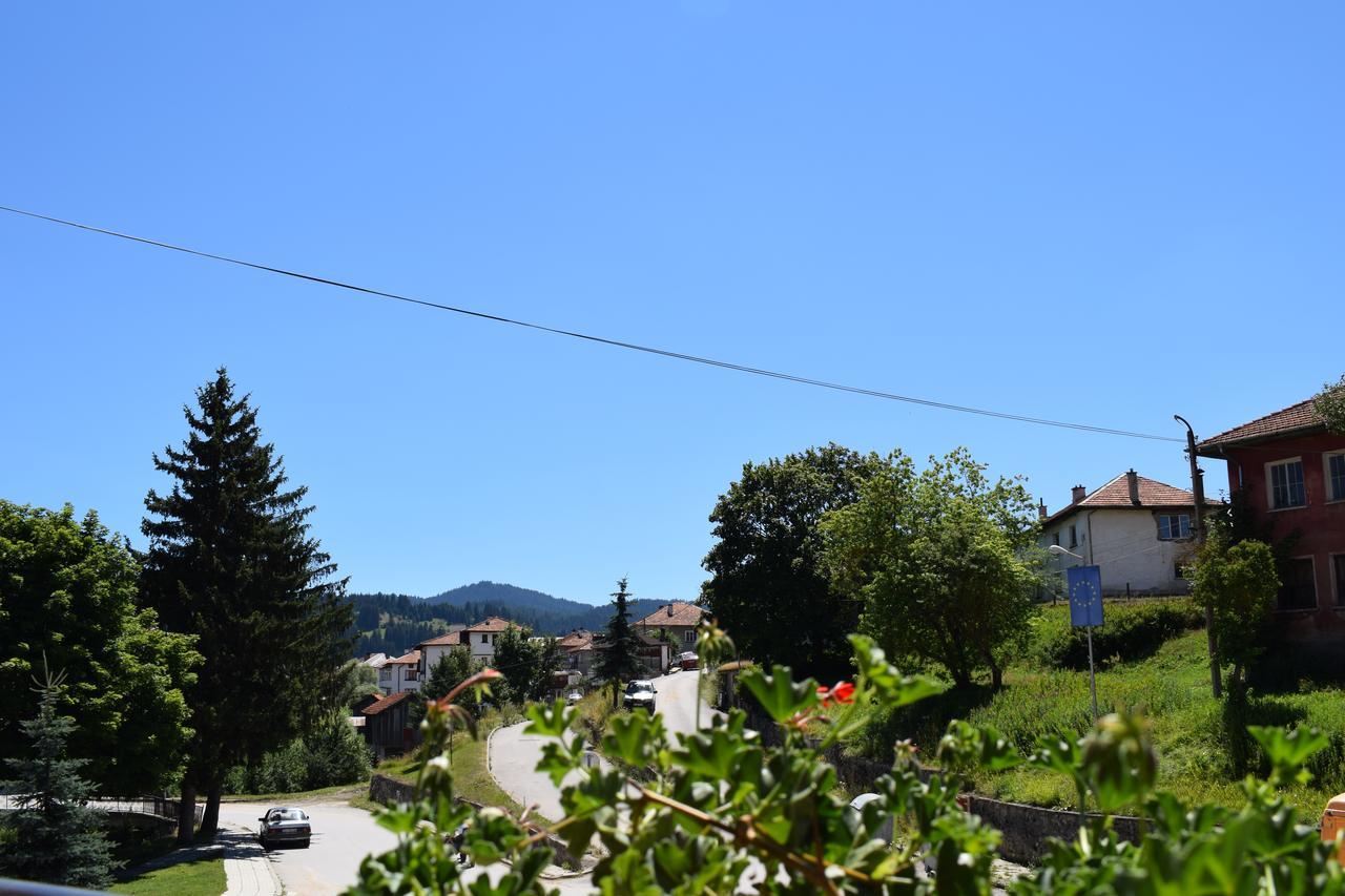 Complex Pele Hotel Zmeitsa Bagian luar foto