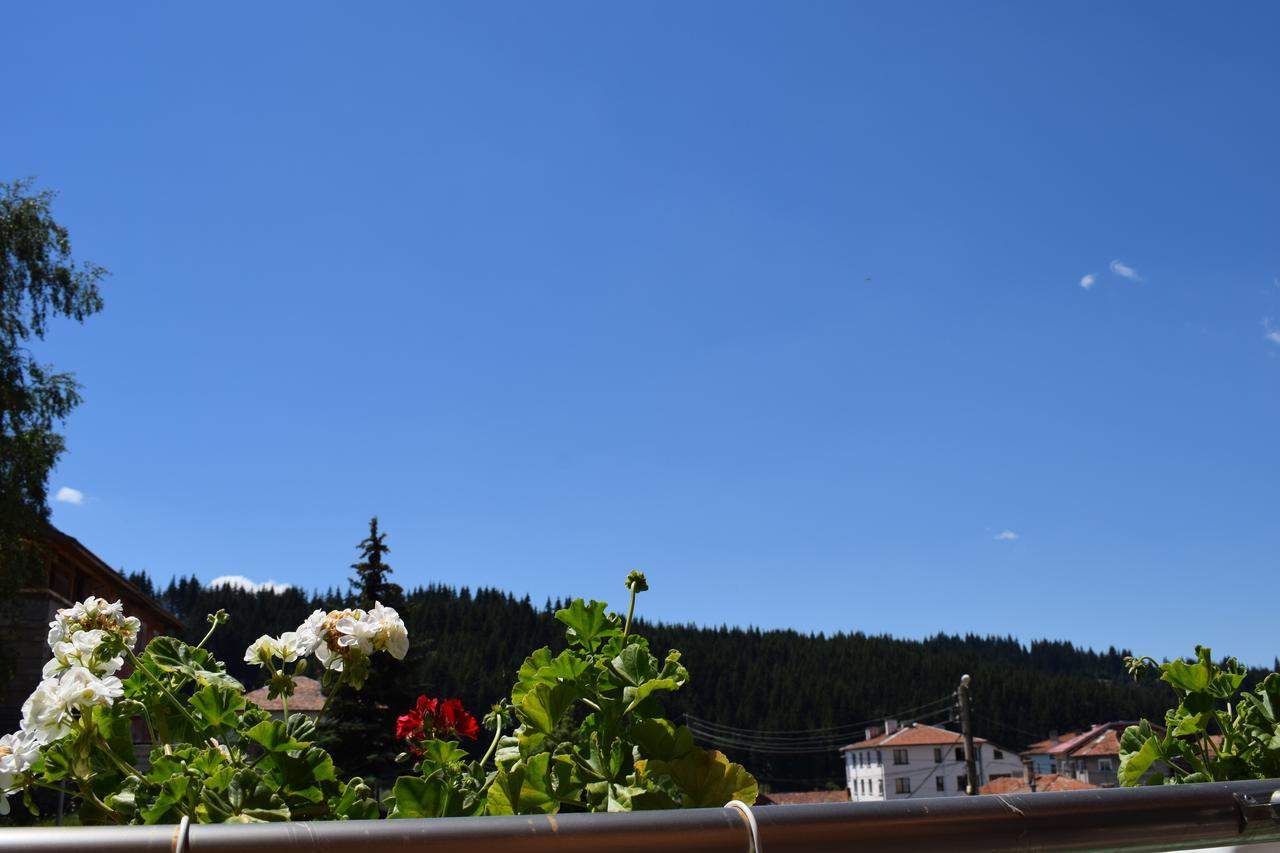 Complex Pele Hotel Zmeitsa Bagian luar foto