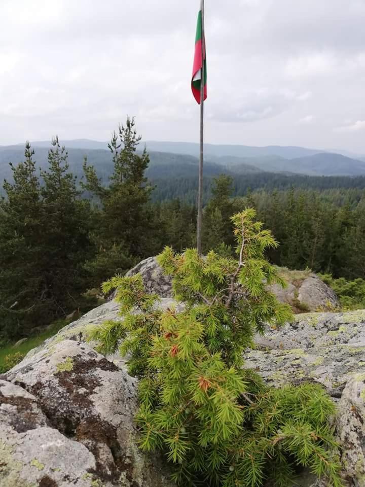 Complex Pele Hotel Zmeitsa Bagian luar foto