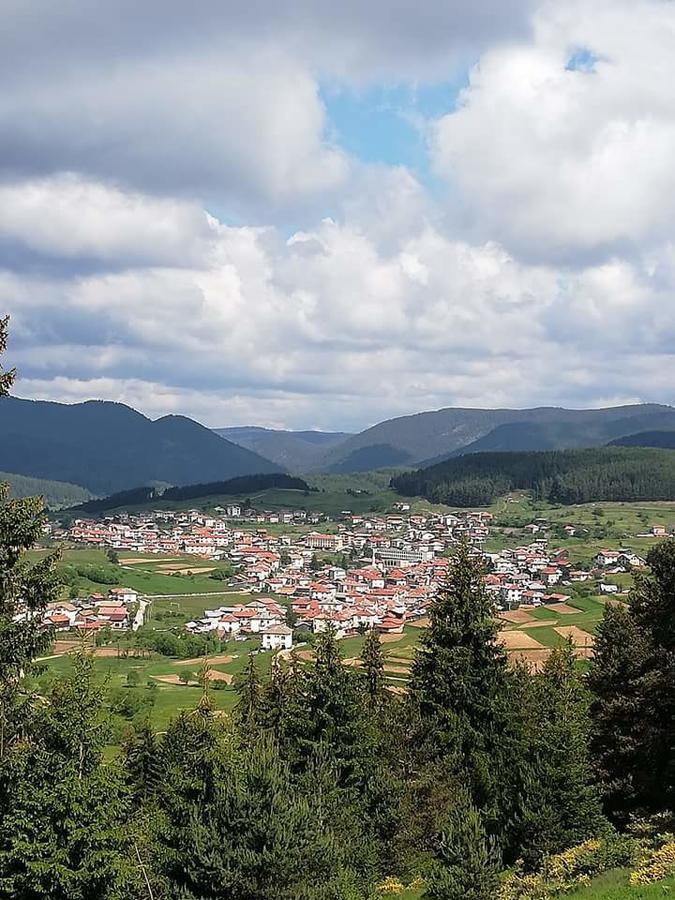 Complex Pele Hotel Zmeitsa Bagian luar foto