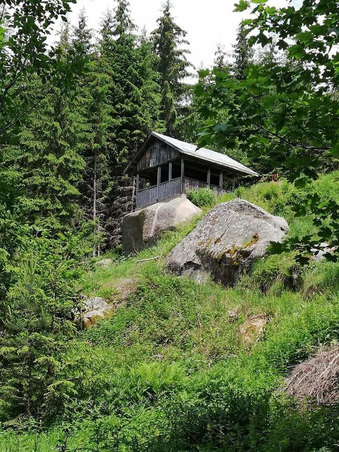 Complex Pele Hotel Zmeitsa Bagian luar foto