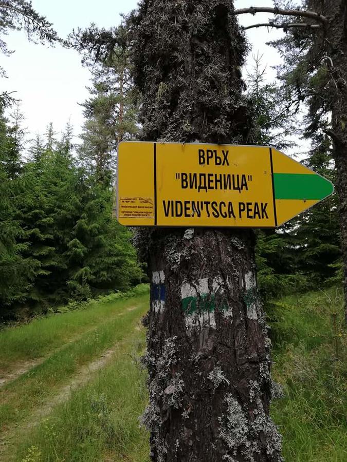 Complex Pele Hotel Zmeitsa Bagian luar foto